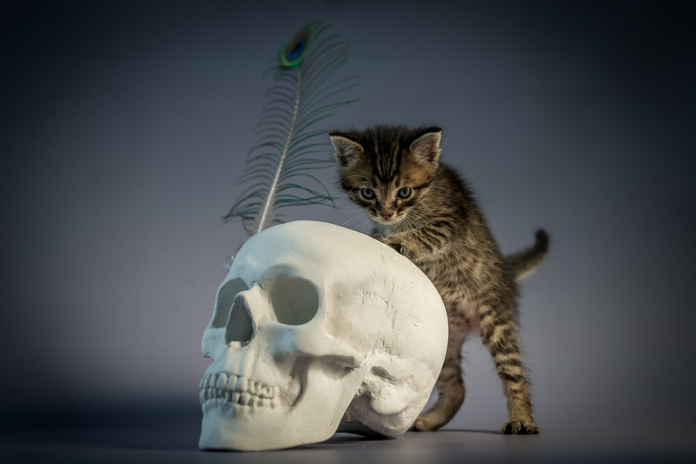 Photograph by Дмитрий Вербицкий