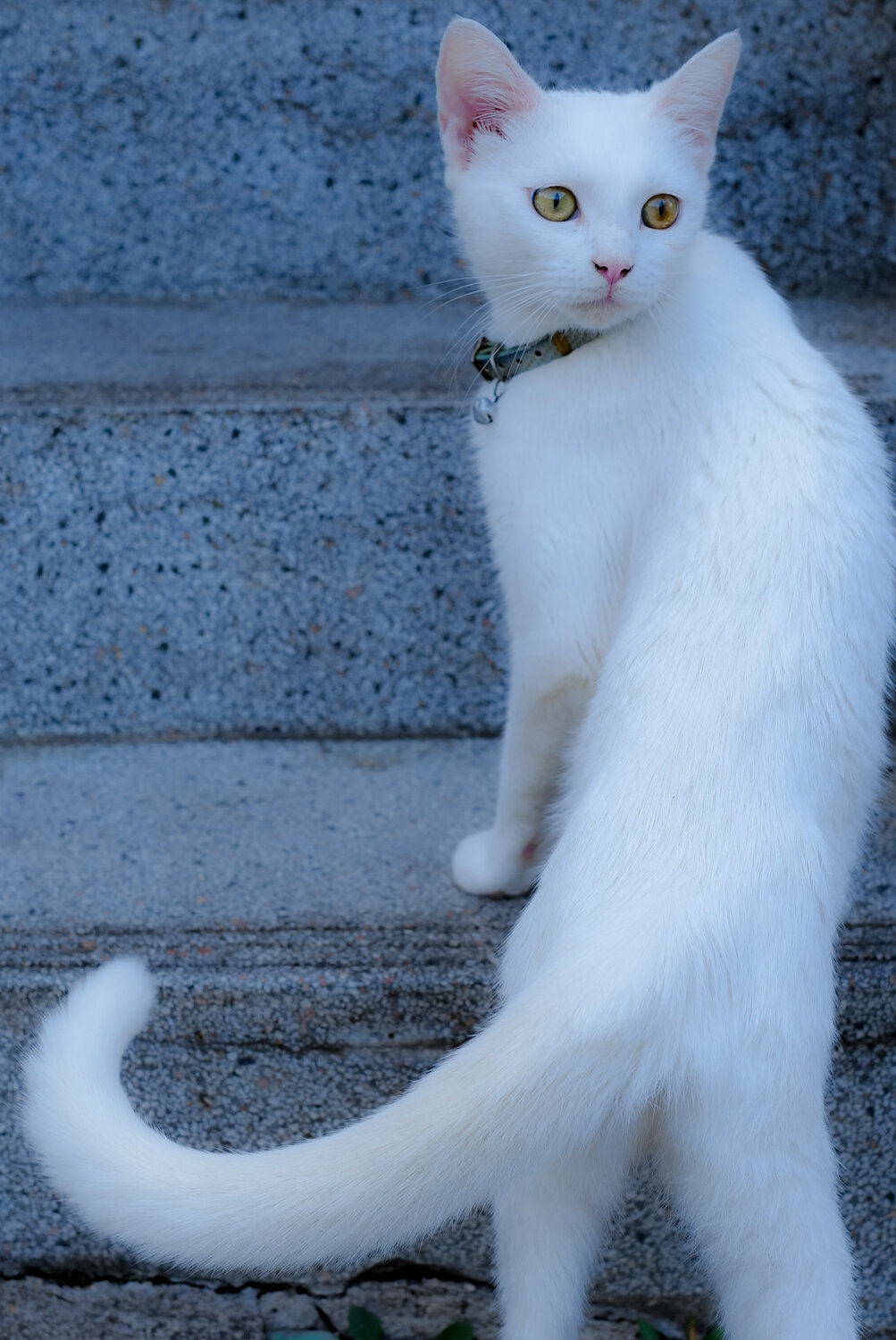 Photo #14046379