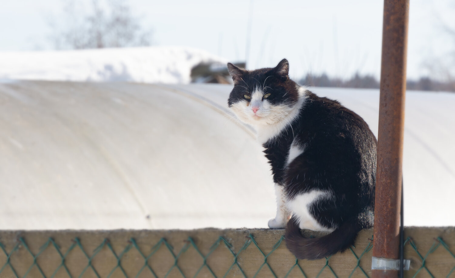 Photo #14046404