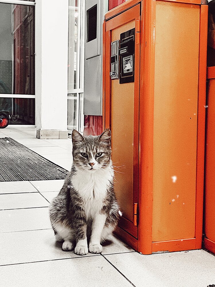 Photograph by Олеся Старицкая