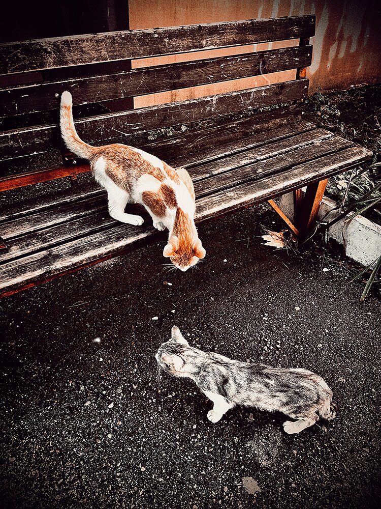 Photograph by Олеся Старицкая