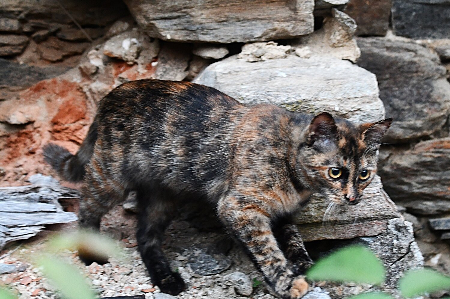 Photo #14046433