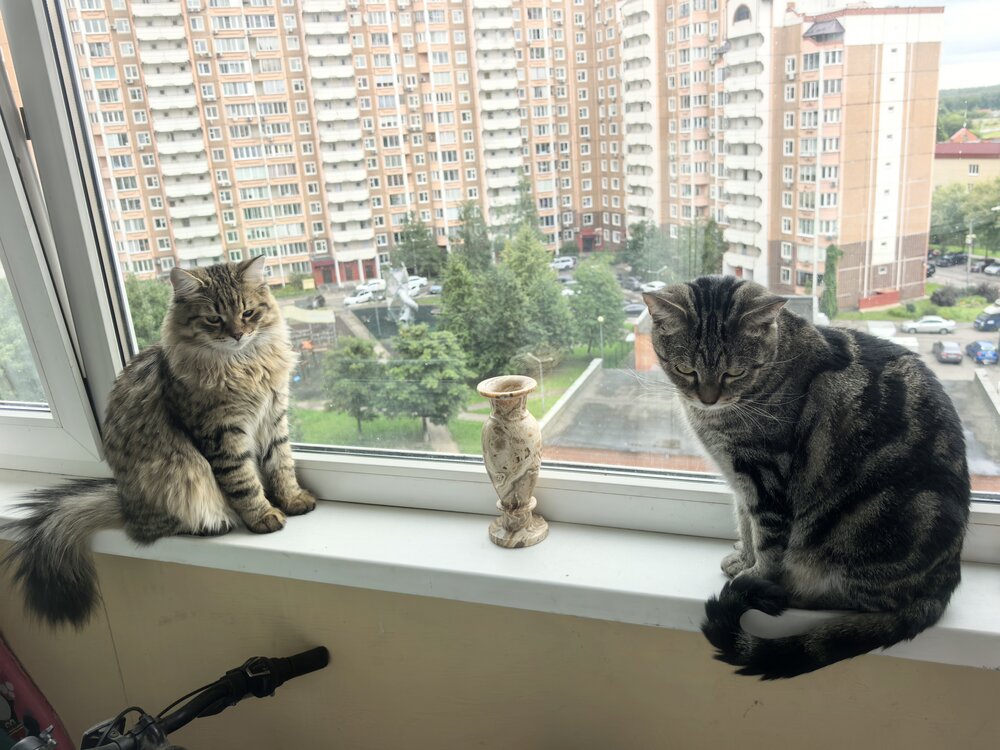 Photograph by Елена Качалина