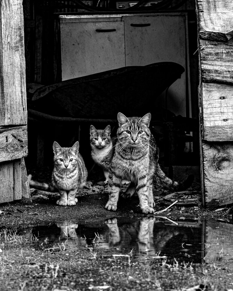 Photograph by Fernando Gabriel Castro Ortiz