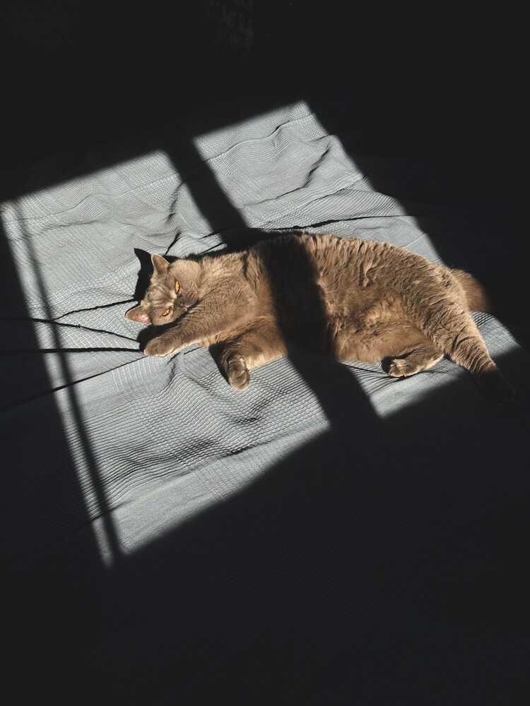 Photograph by Julia Smilovitsky
