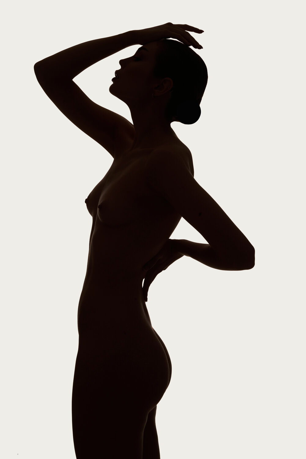 Photo #14046571