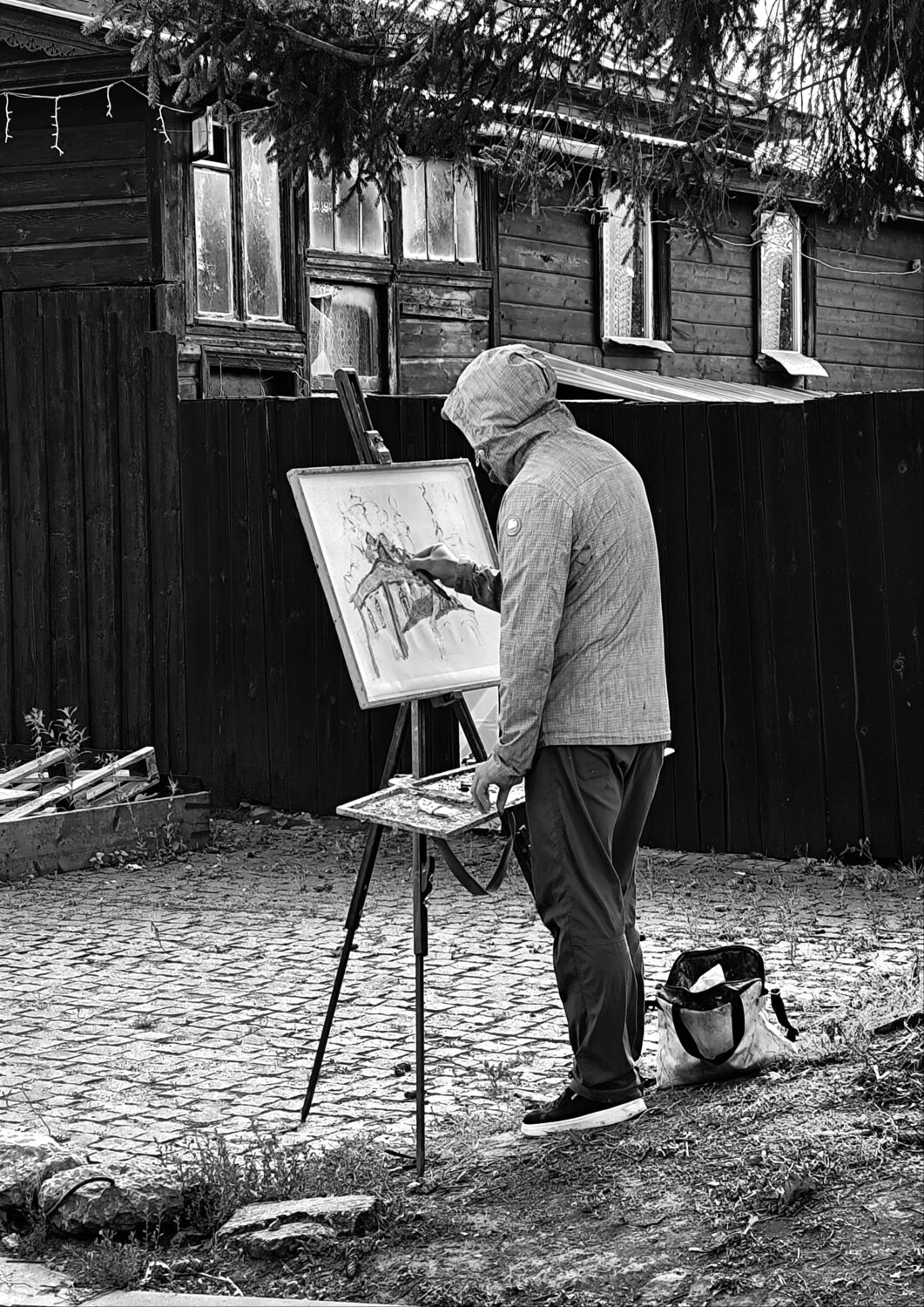 Photo #14046645