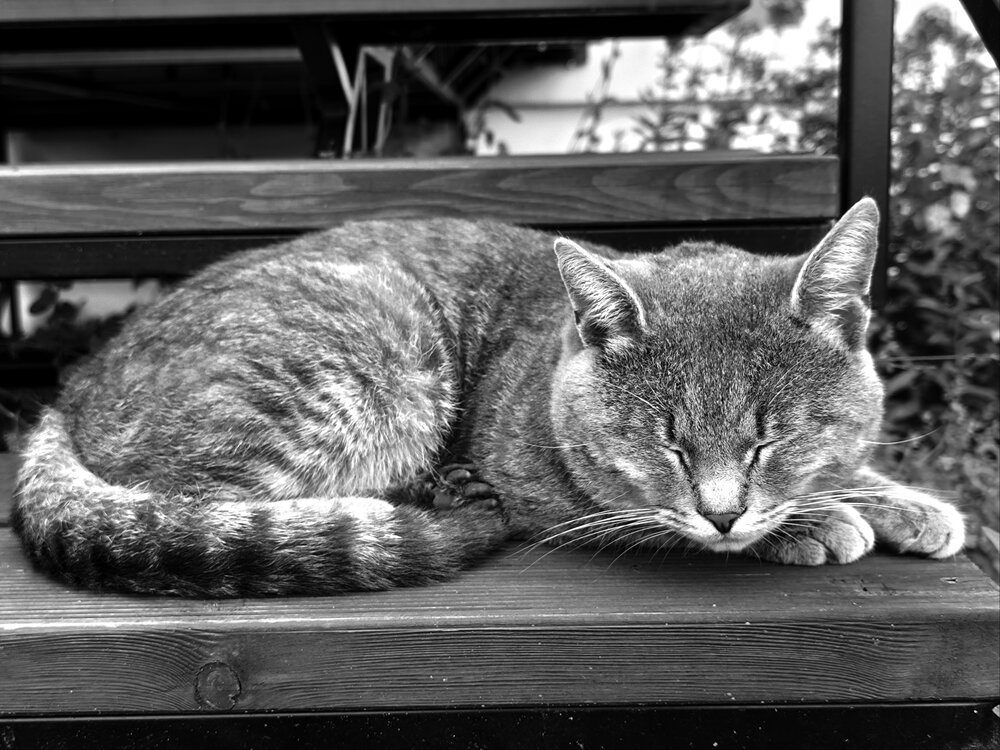 Photograph by Мария Лаврухина