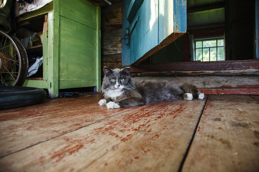 Photograph by Сергей Олюков
