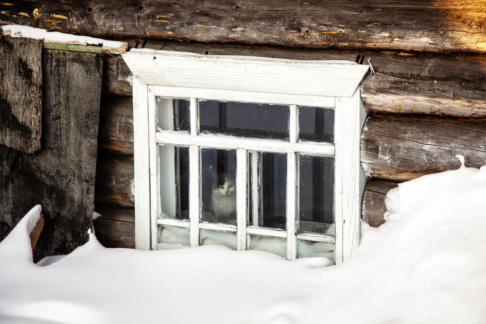 Photograph by Сергей Олюков