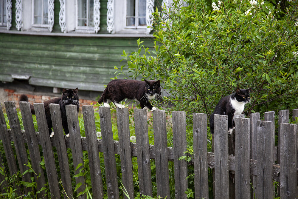Photograph by Сергей Олюков