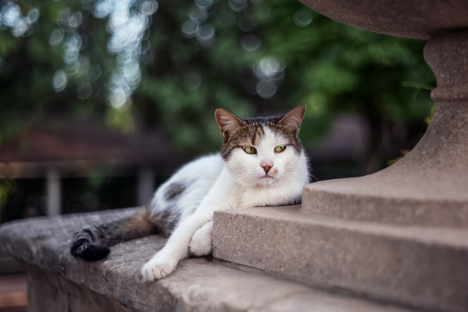 Photo #14046827