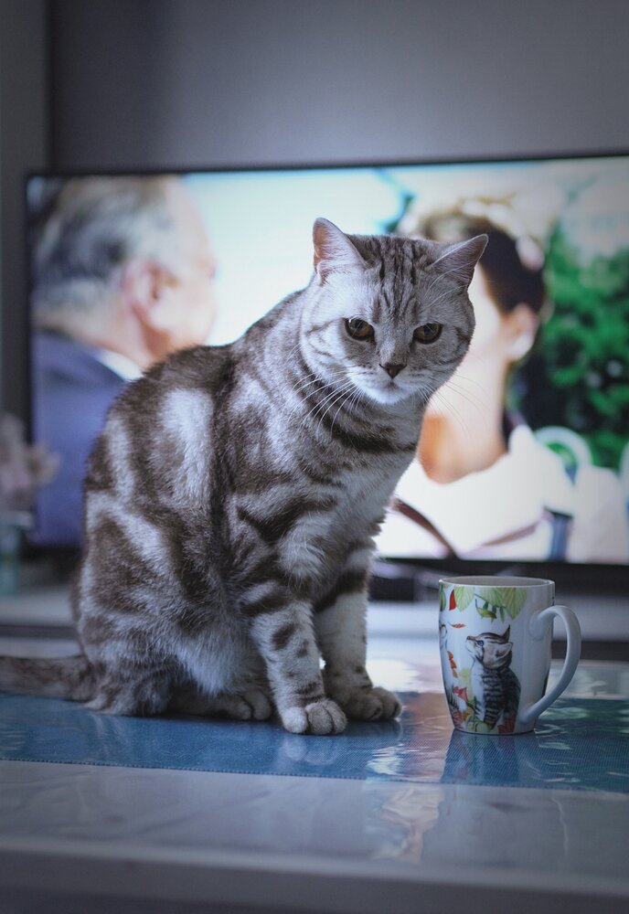 Photograph by Нина Грачева
