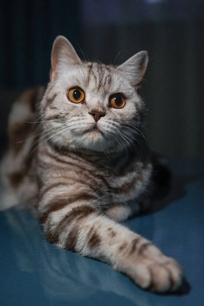 Photograph by Нина Грачева