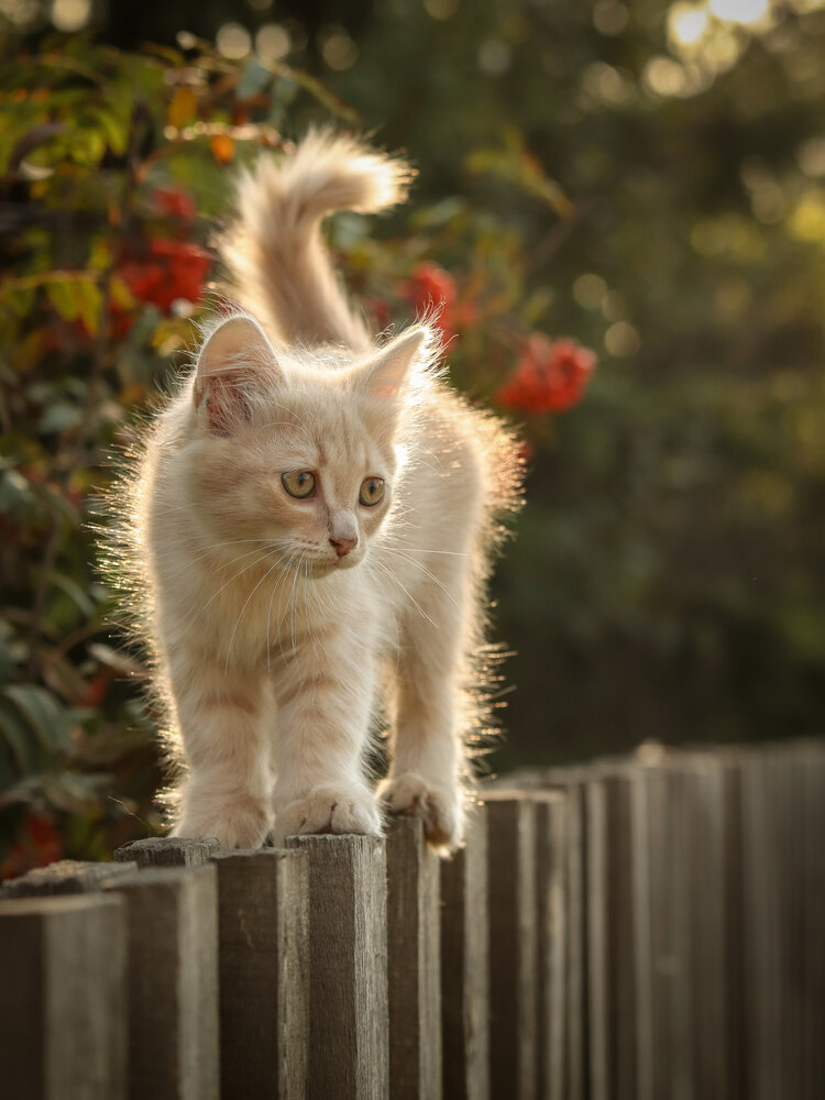 Photograph by Васильев Игорь