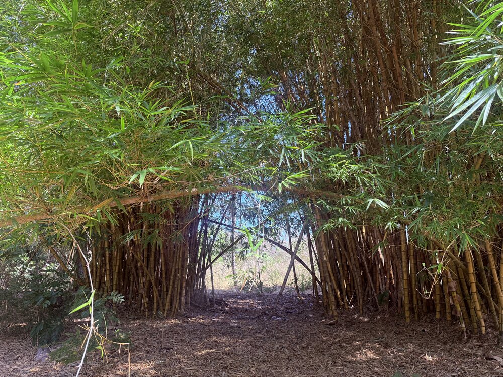 The Hidden Passage