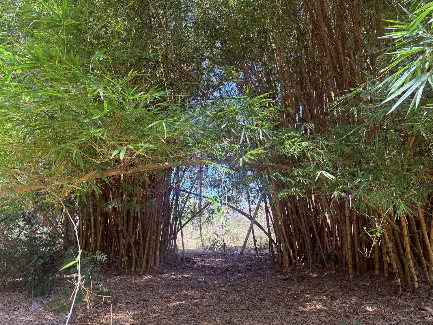 The Hidden Passage
