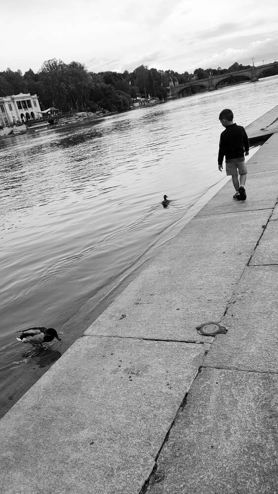 Where the River Whispers