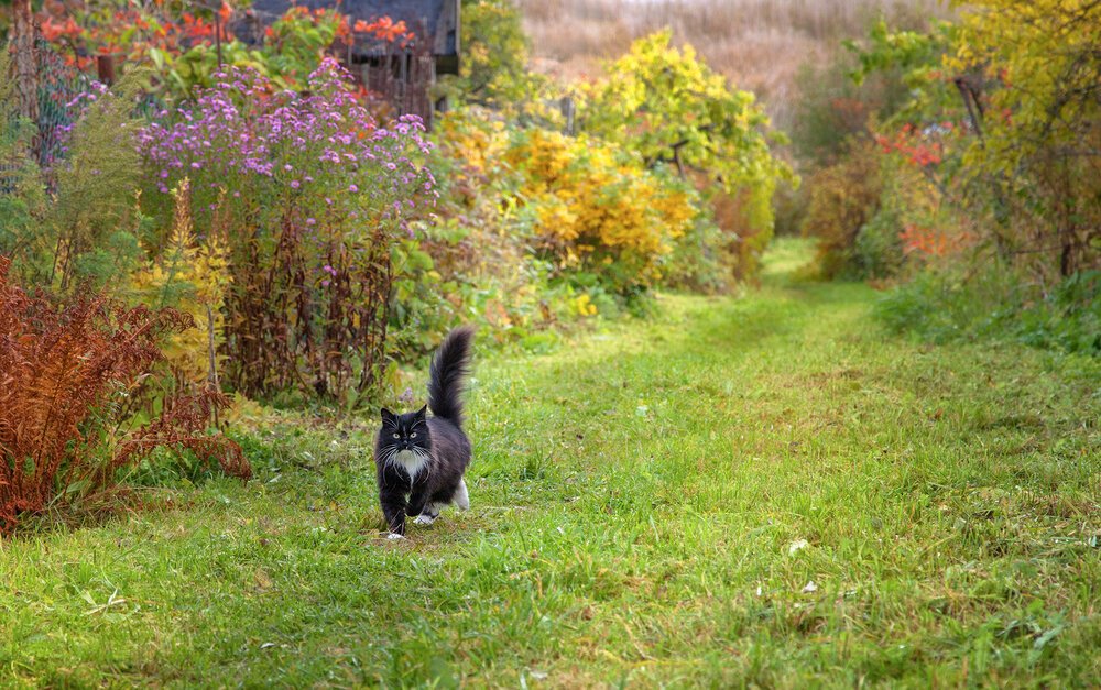 Photograph by Ирина Заколдаева