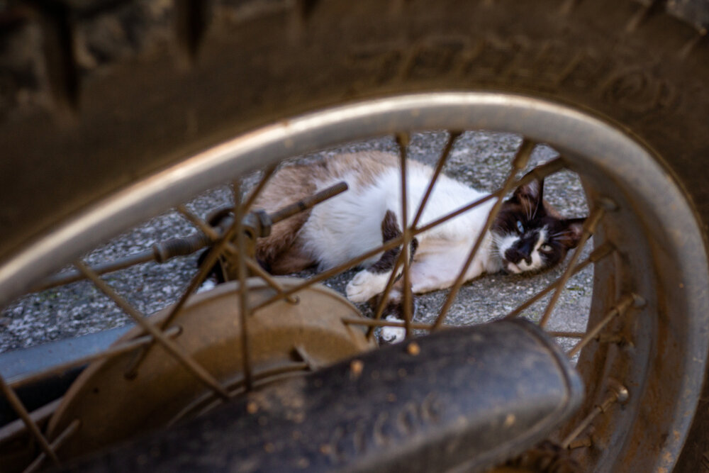 Photograph by Mateo Arbelaez Ocampo