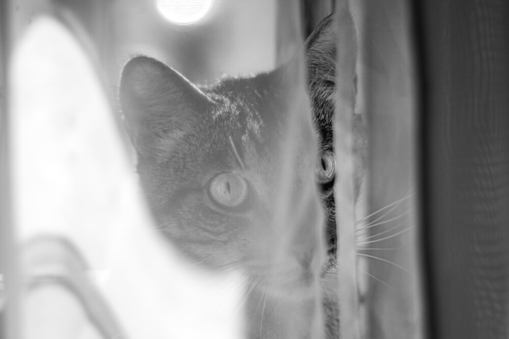 Photograph by Mateo Arbelaez Ocampo