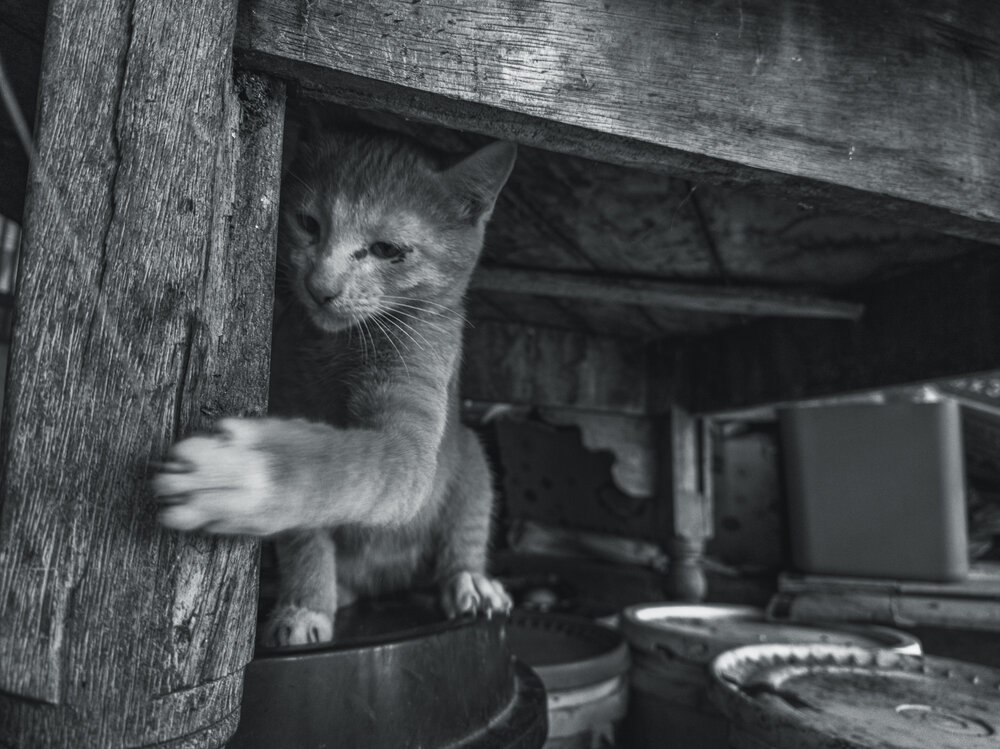 Photograph by Mateo Arbelaez Ocampo