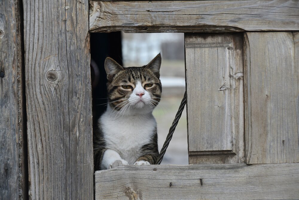 Photograph by Дмитрий Демиденко