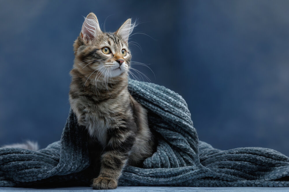 Photograph by Зубкова Юлия