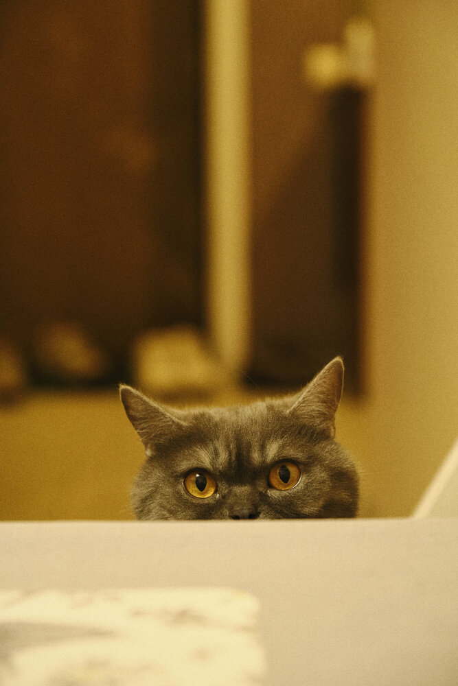 Photograph by Anastasia Vladimirovna