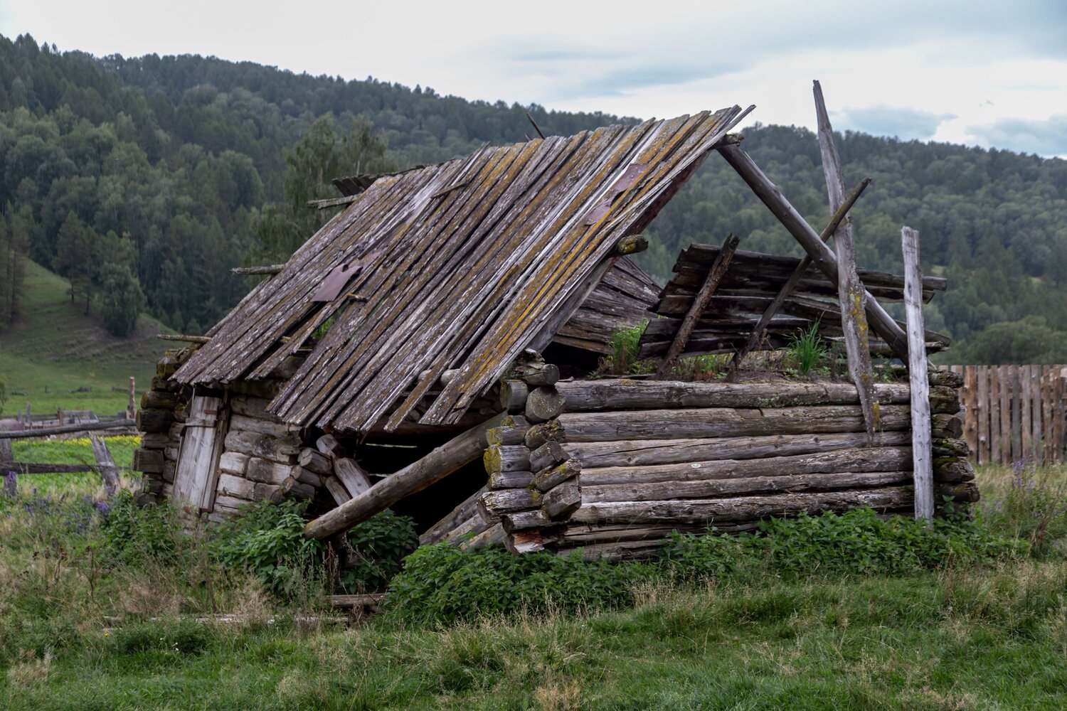 Photo #14047056