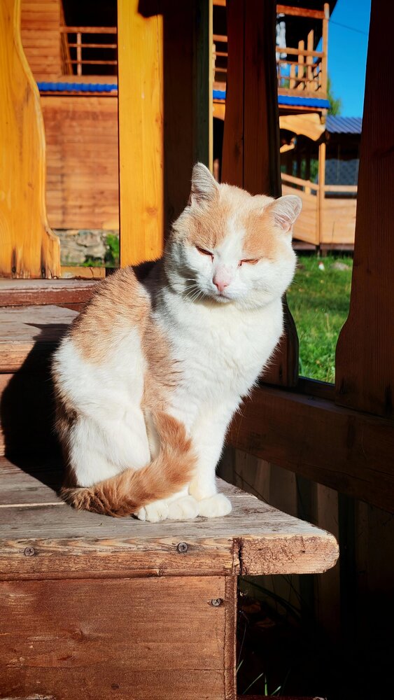 Photograph by Полина Скурская
