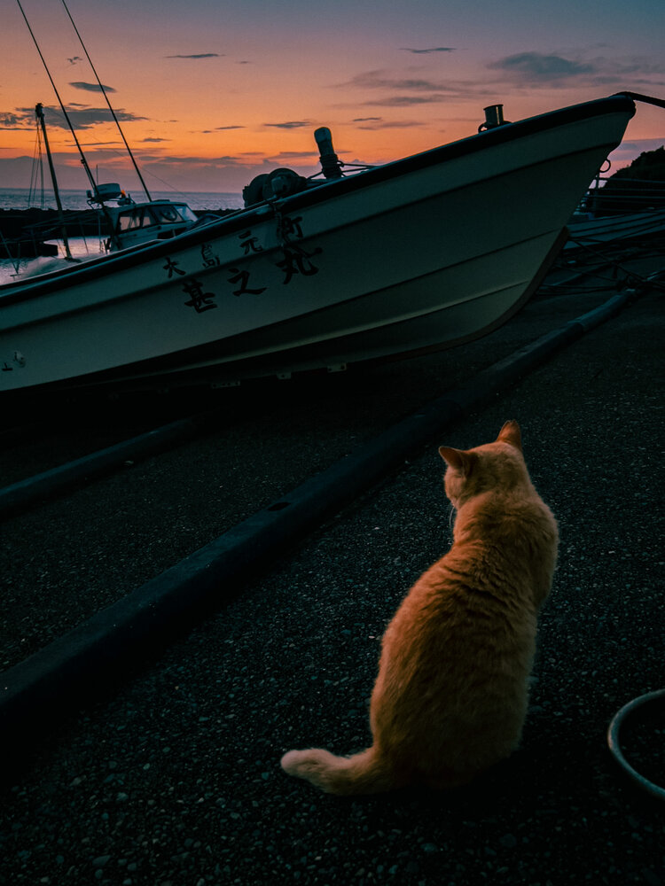 Photograph by y tanco