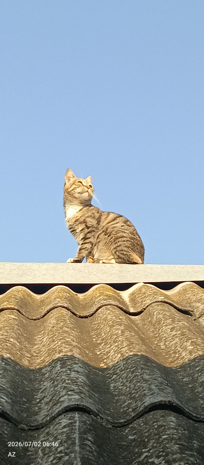 Выше только небо