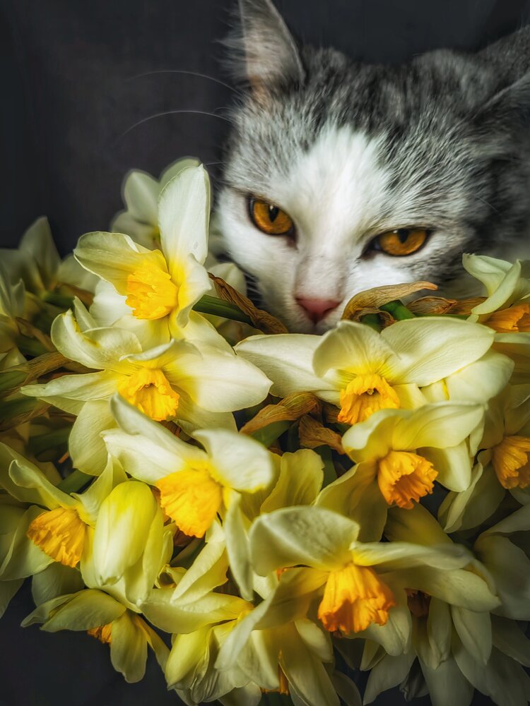 Photograph by Александра Липницкая