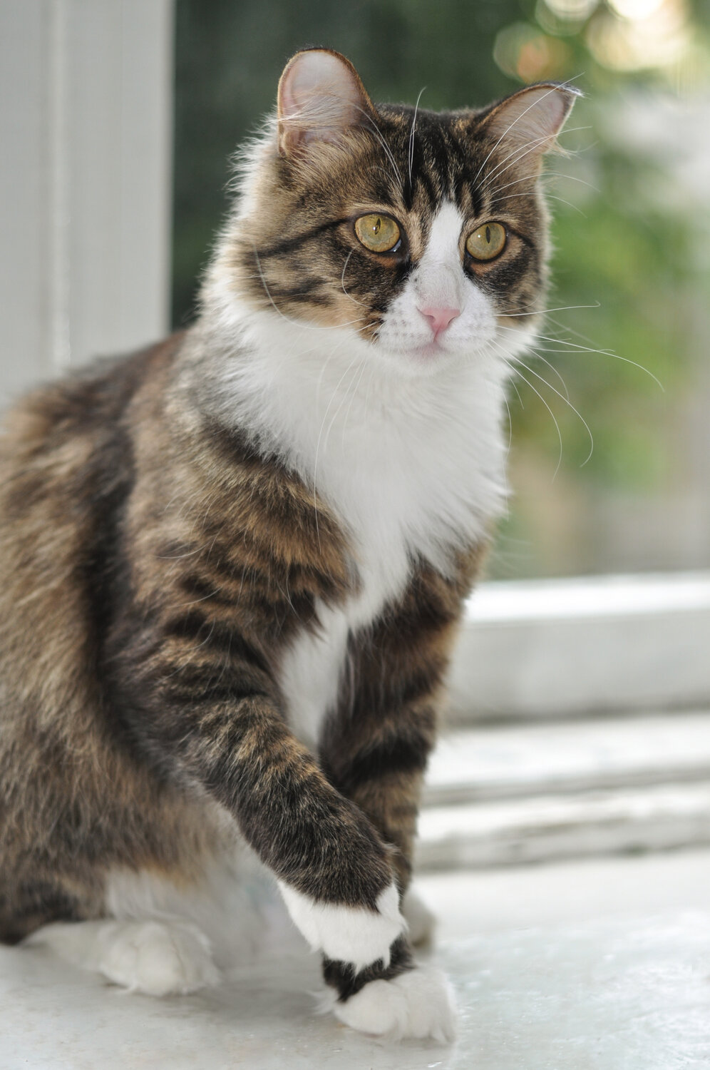 Photo #14047244