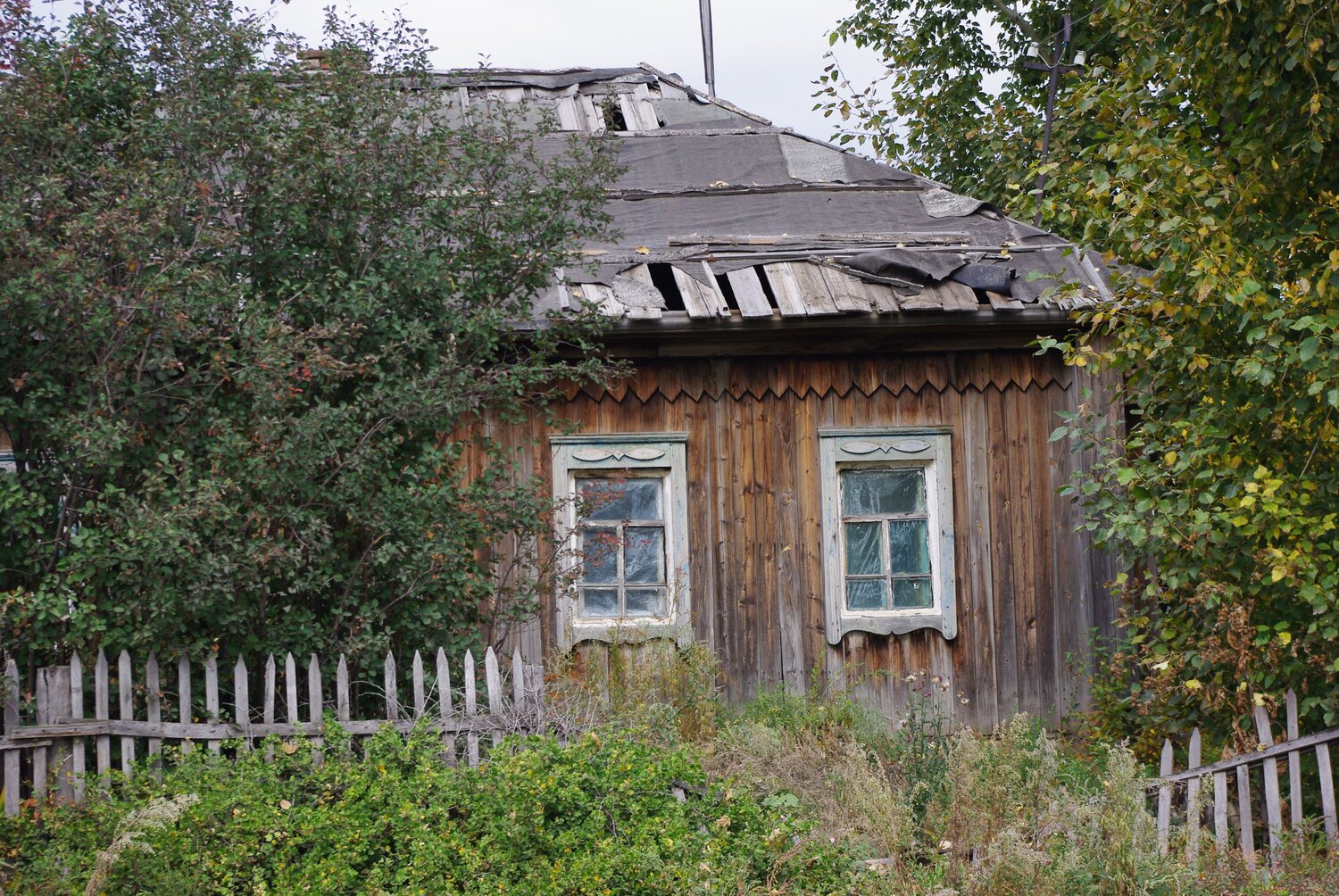 Photo #14047349