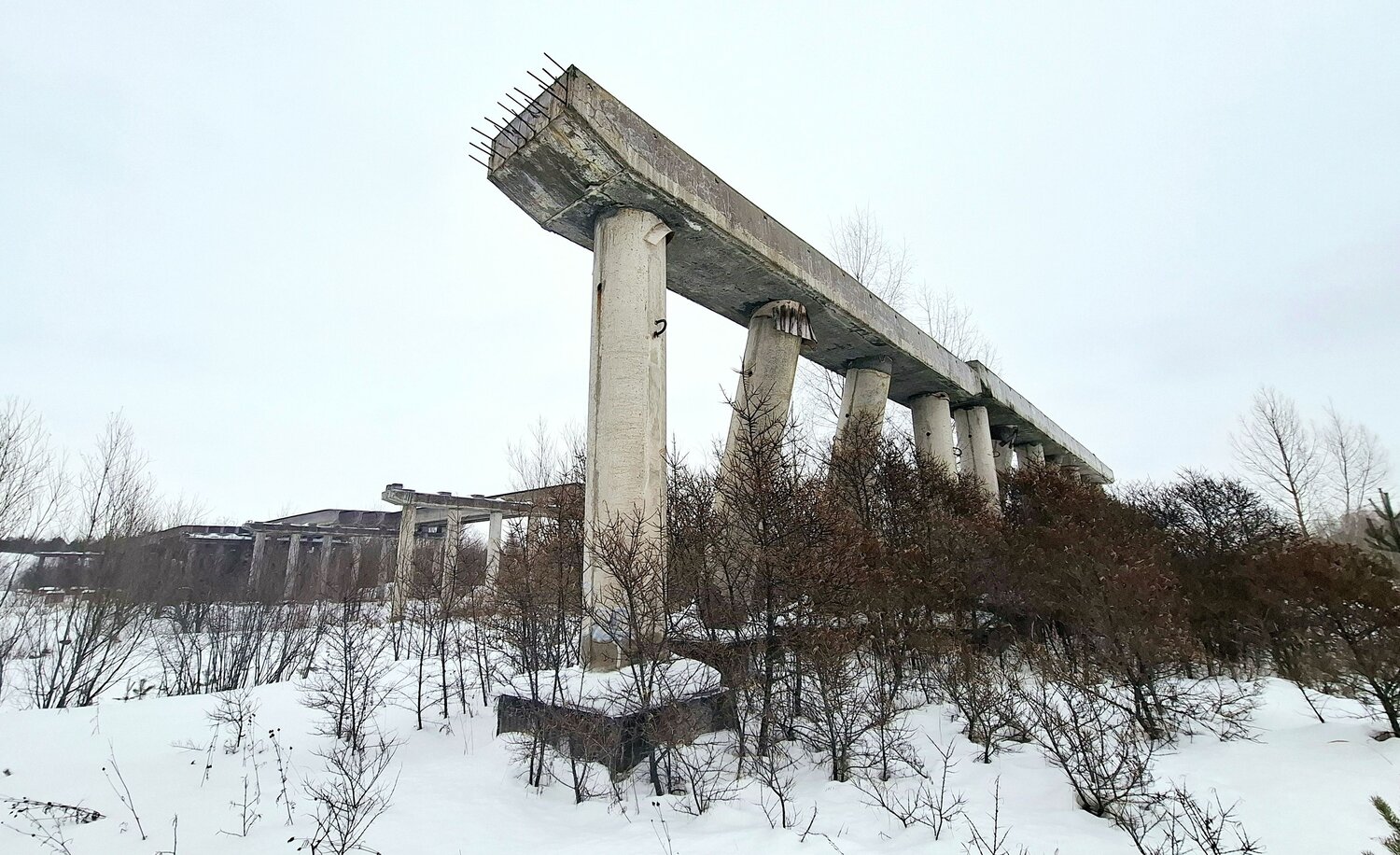 Многоножка