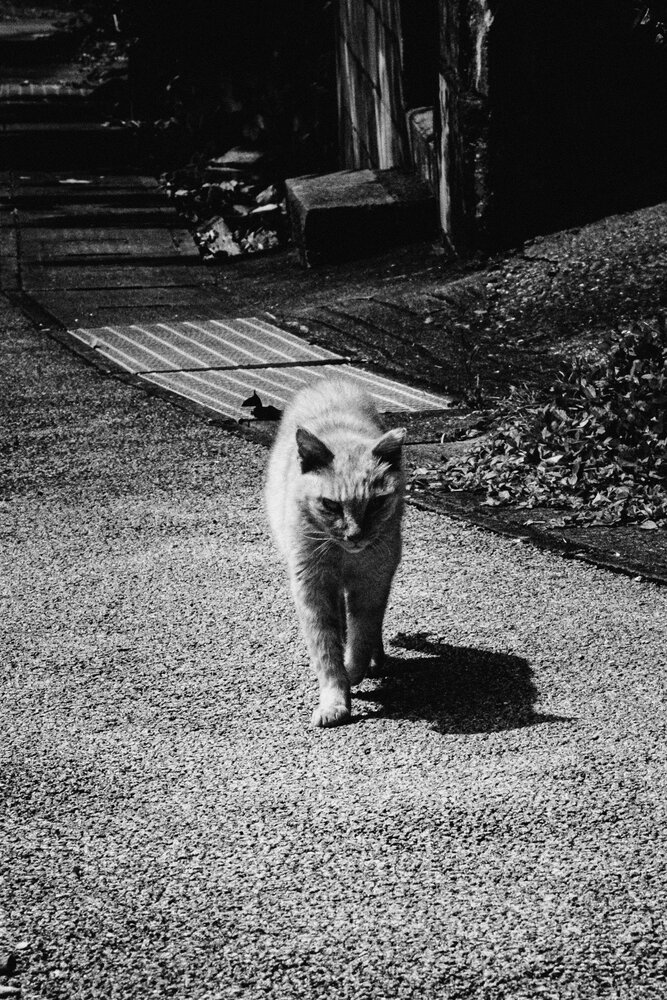 Photograph by y tanco