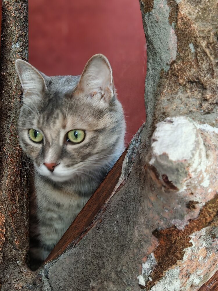 Photograph by Екатерина Магдыч
