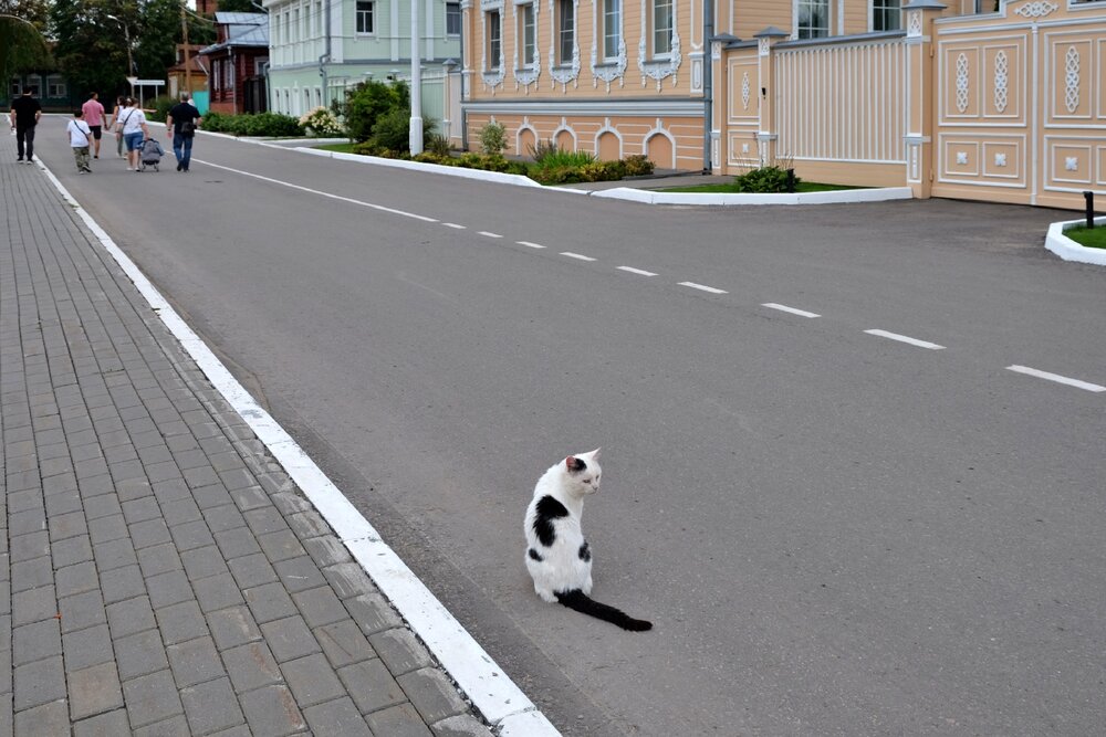 Раздумье.