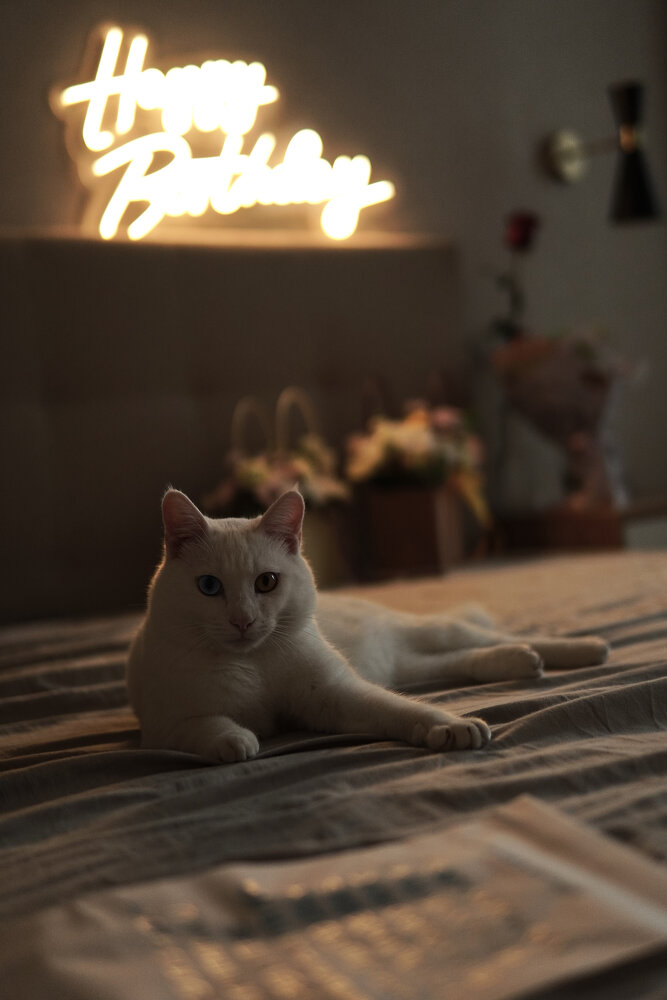 Photograph by Анастасия Бондарь