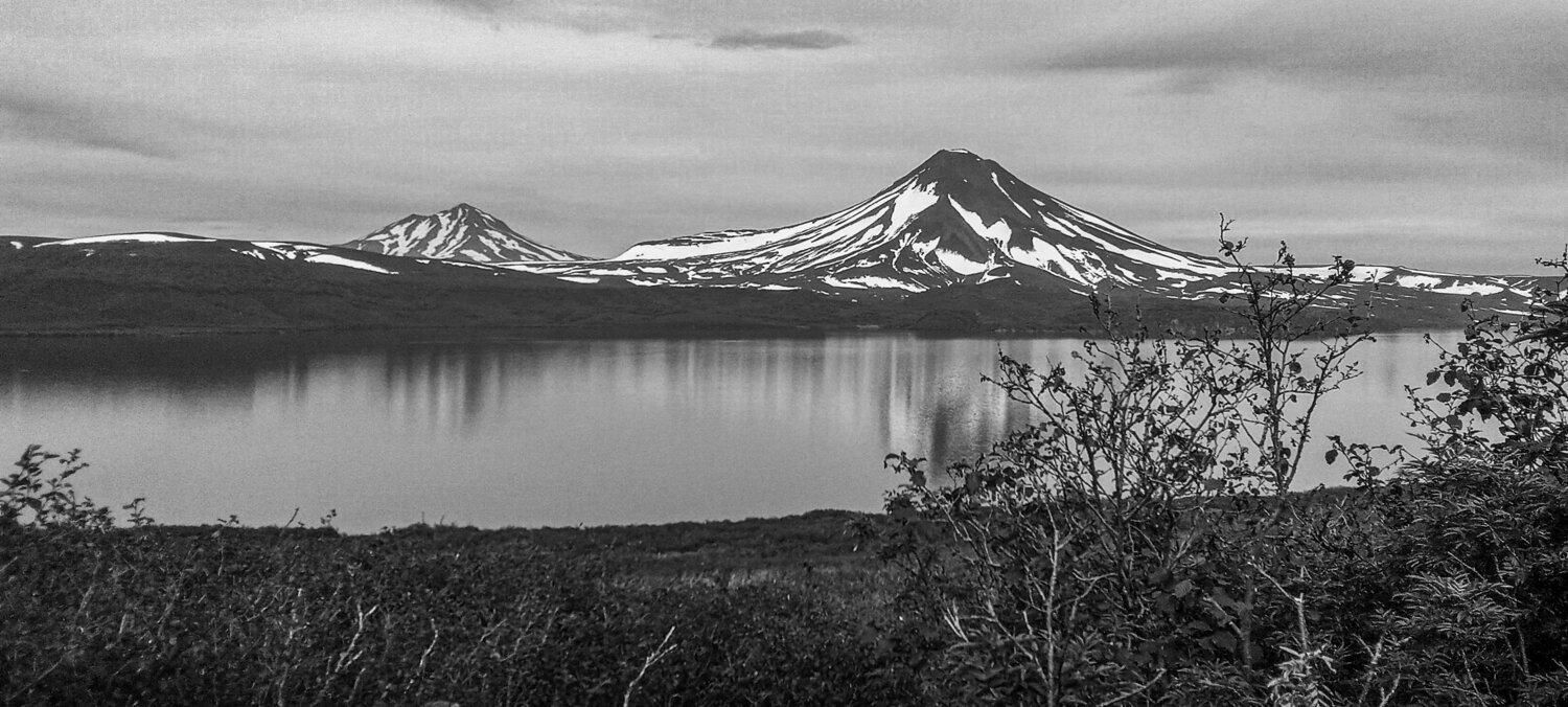 Photo #14047640
