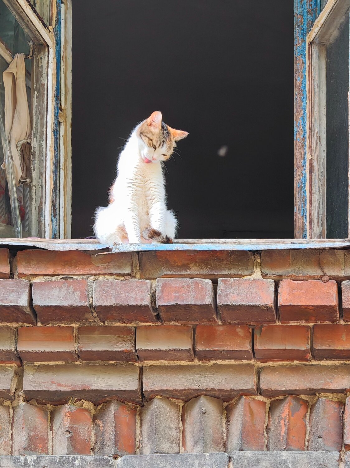 Photo #14047654