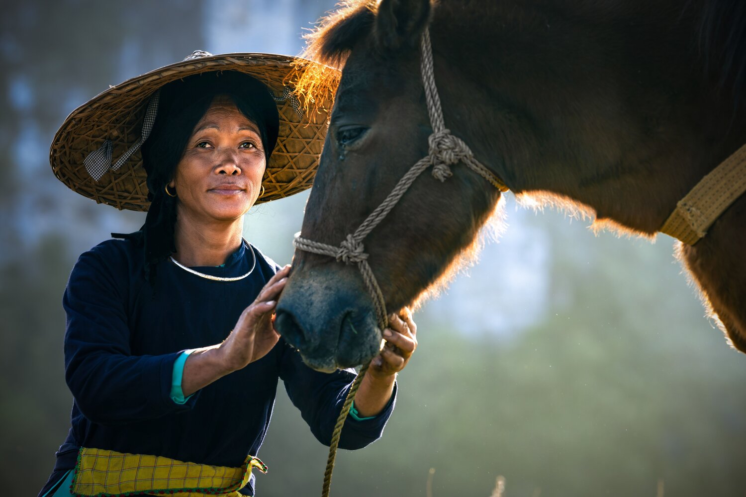 Companion at Sunset,
