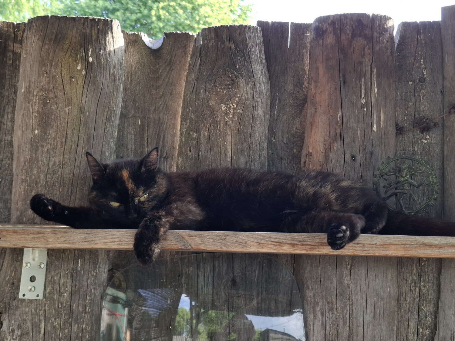 Photo #14047684
