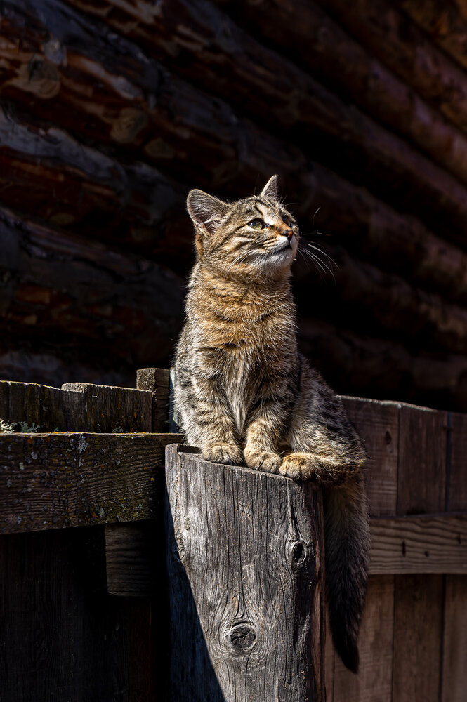 Photograph by Станислав Татарников