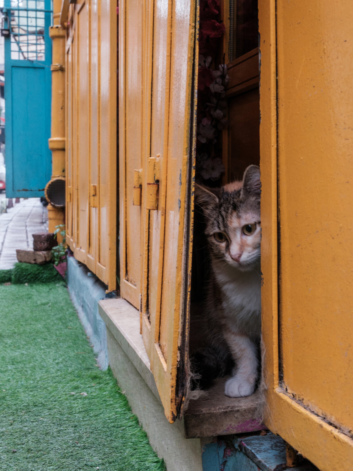 Photo #14047775