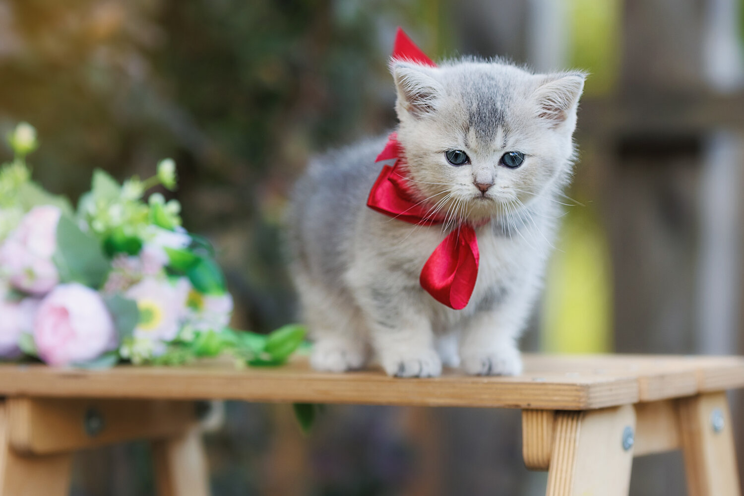 Photo #14047857