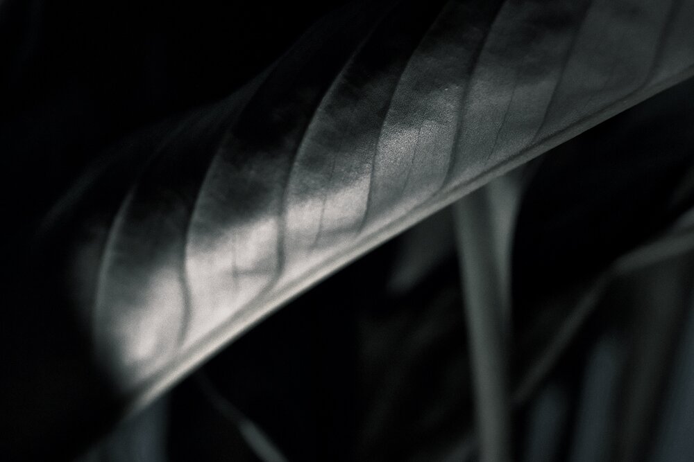 Photograph by Олег Мусин