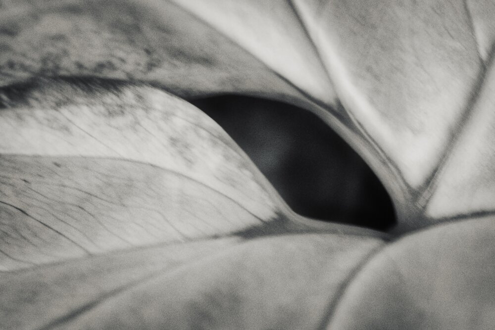 Photograph by Олег Мусин